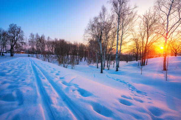 カラフルな冬の日没 - rural scene russia ski track footpath ストックフォトと画像