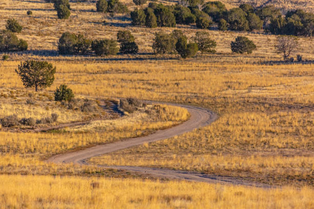 istock Winding dirt trail in the yellow grass of fall 1083559170