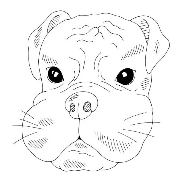 Vector illustration of Dog boxer face portrait graphic black white isolated sketch illustration vector