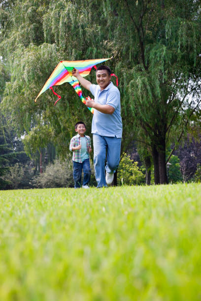 istock Chinese father and son flying kite in park 1083574774