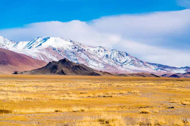 View of the beautiful mountain and the large yellow steppe in the sunny day at Ulgii in the western Mongolia