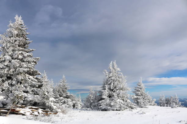 istock Winter Landscape with Snow and Trees 1083586300