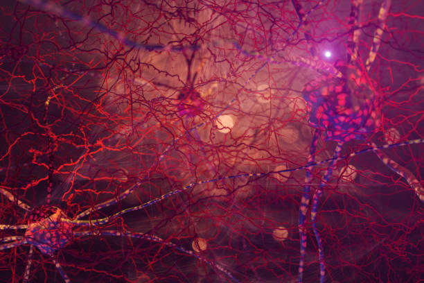 抽象的なニューロン細胞ネットワーク - brain cells ストックフォトと画像