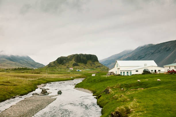 Bright green meadow and mountains