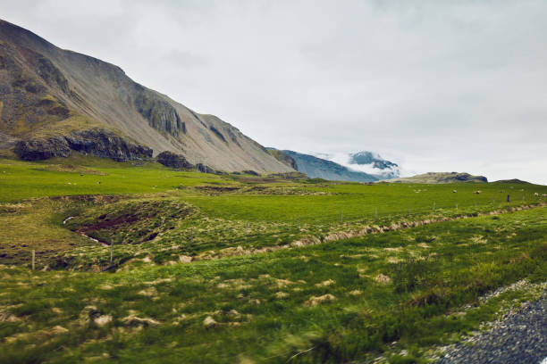 Bright green meadow and mountains