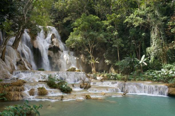 istock Tat Kuang Si Waterfall, Luang Prabang, Laos 1083588444