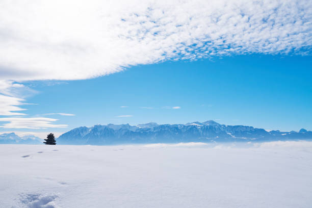 Europe Alps in sunny day at winter.