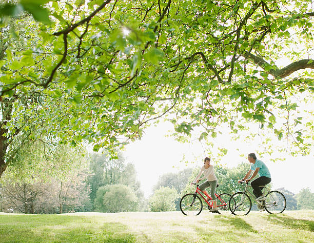 Couple riding bicycles underneath tree  park stock pictures, royalty-free photos & images