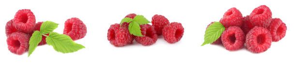 istock raspberry collection. healthy background. raspberries with green leaves isolated on white background macro 1083595142