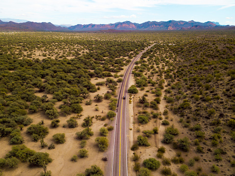 Desert road with bushes and cactuses aerial photo