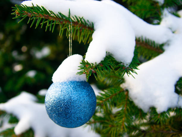 istock Christmas fir tree closeup with blue ball 1083603364