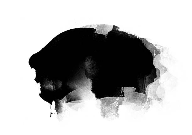 istock Black color graphic patches graphic brush strokes design effect element for background 1083605304
