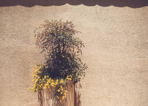 istock A column of flowers in front of a stone wall 1083609236