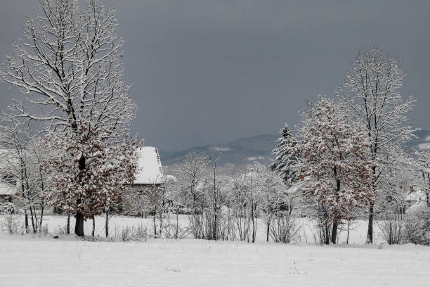 istock Winter village countryside landscape 1083611916