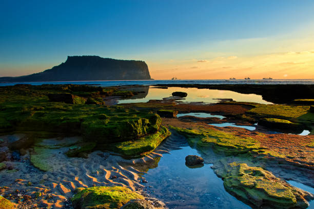 istock Sunrise on the beach VD702 1083629464