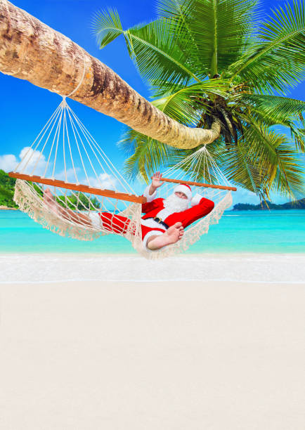 babbo natale rilassati sull'amaca sotto la palma sulla spiaggia tropicale sabbiosa dell'oceano - hammock beach vacations tropical climate foto e immagini stock