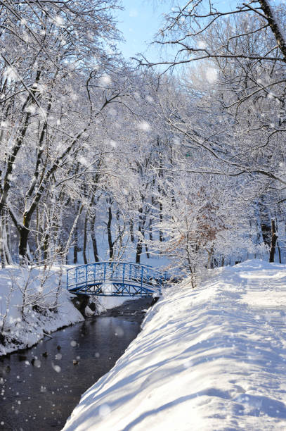 istock Beautiful winter landscape with the river 1083630092