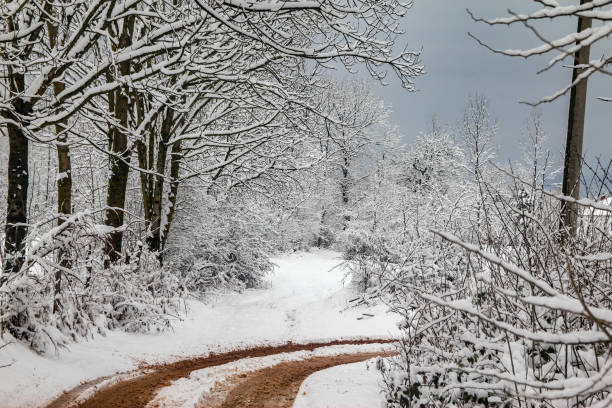 istock Rural snowy village scene 1083630274