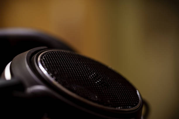 Ear Buds