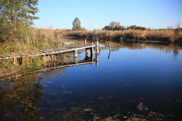 istock Old wooden bridge on a small river. Rural landscape 1083634872