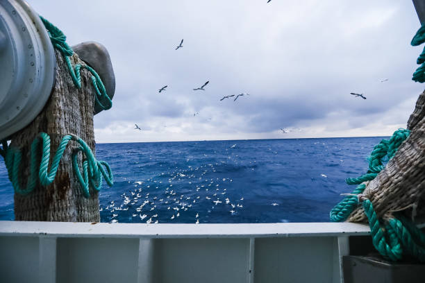 istock Trawl industrial fishing net 1083641954