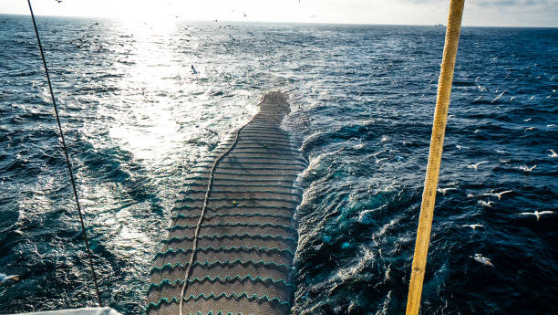 istock Trawl industrial fishing net 1083642010