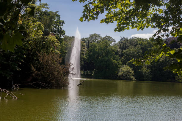 istock Beautiful park scene in public park with lake 1083647136