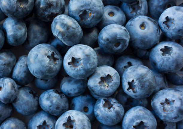 istock Fresh Blueberry Background. Texture blueberry berries close up 1083648484