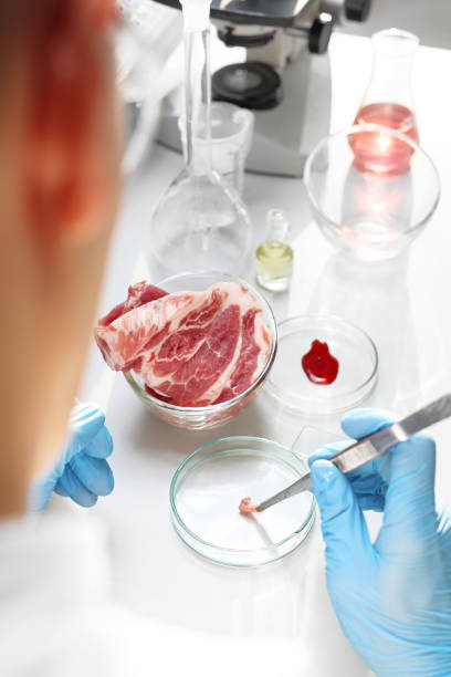 laboratório. avaliação da qualidade da carne. - chemical worker - fotografias e filmes do acervo