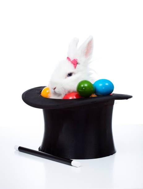 istock Easter bunny with eggs in a magician hat - isolated 1083649412