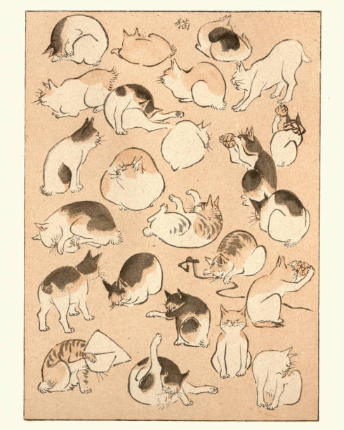 Art of Japan, Sketches of Cats by Hiroshige Vintage engraving of Art of Japan, Sketches of Cats by Hiroshige preening stock illustrations