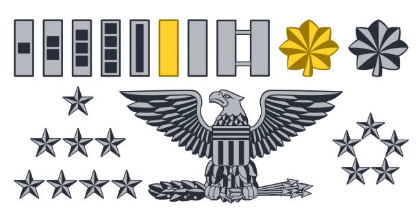 Military Army Insignia Ranks Set of military American army officer ranks insignia badges icons officer military rank stock illustrations
