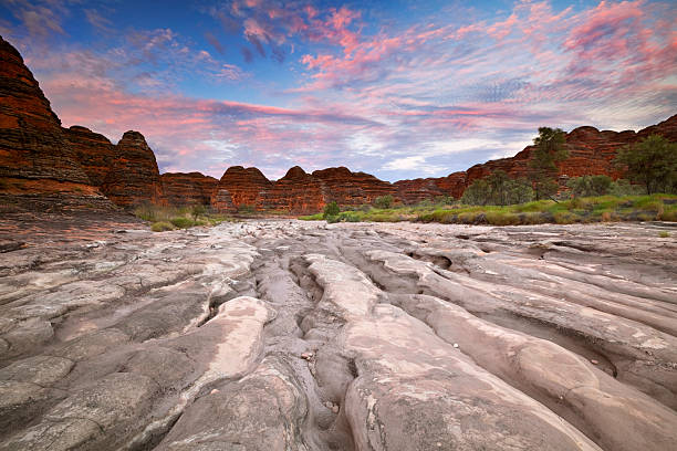 leito de rio seco no parque nacional purnululu, na austrália ocidental, ao nascer do sol - kimberley plain - fotografias e filmes do acervo