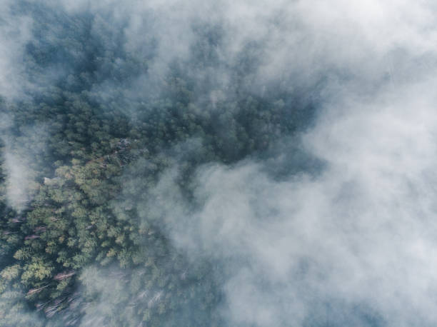 istock overhead view of clouds over forest in mountains 1083653564
