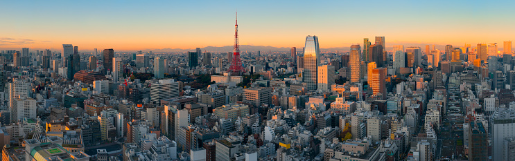a striking view of the iconic Tokyo Tower standing tall among the dense urban landscape of Tokyo, as seen from the observation deck of Shibuya Sky building. The tower's vivid red and white colors make a bold statement against the monochrome backdrop of modern skyscrapers. Below the tower, a mix of residential and commercial buildings spread out, offering a sense of the city's scale and vibrancy. The reflective surface at the bottom of the image adds a dreamlike quality, turning the cityscape into a mesmerizing urban mirage. Fluffy clouds scatter across the blue sky, signifying a clear day ideal for panoramic views. The composition masterfully captures the harmony of historical landmarks and contemporary architecture that defines Tokyo's skyline.