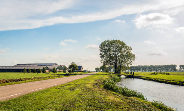 paisaje típico polder holandés. - alblasserwaard fotografías e imágenes de stock