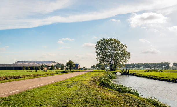 typical dutch polder landscape. - alblasserwaard imagens e fotografias de stock