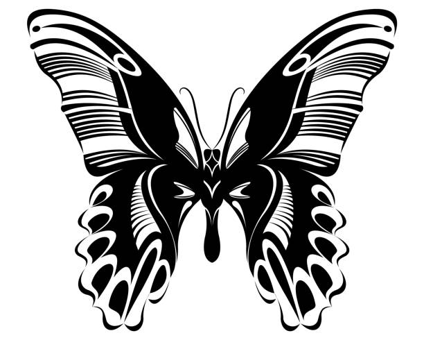 Butterfly Black & White silhouette design Butterfly vector art stencil for tattoo or t-shirt print butterfly tattoo stencil stock illustrations