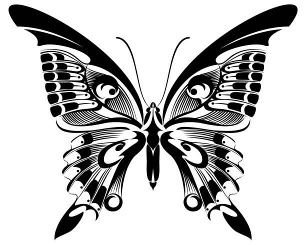 schmetterling schwarz & weiß silhouette design - schwalbenschwanzfalter stock-grafiken, -clipart, -cartoons und -symbole