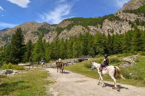 Cogne, Aosta / Italy - 07 20 2018: Scenic view of a mountain landscape with tourists horseback riding in a path, pine forest and rocks peaks in summer, Gran Paradiso National Park, Aosta Valley, Italian Alps