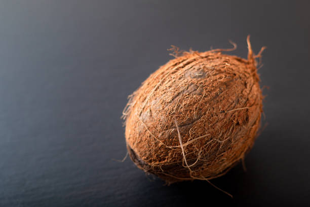 istock Whole single organic Tropical coconut  fruit on black slate stone background with copy space 1083678340