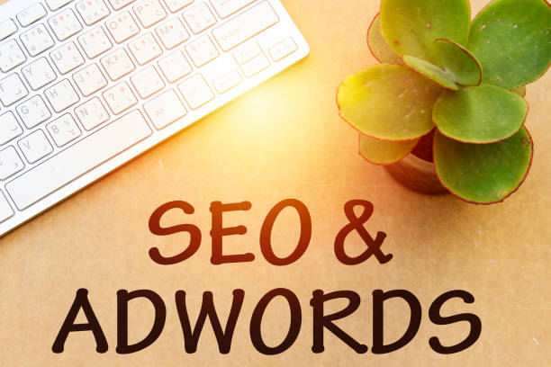 istock seo & adwords concept, keyboard and pot plant 1083683878