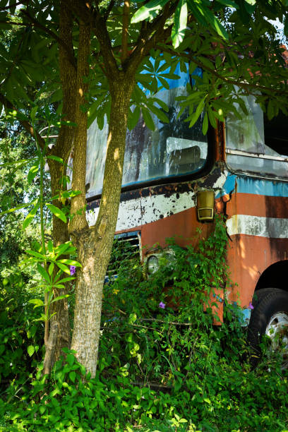 istock Bus Wreck In The Nature 1083689600