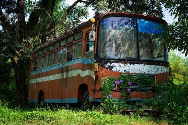 istock Bus Wreck In The Nature 1083689626