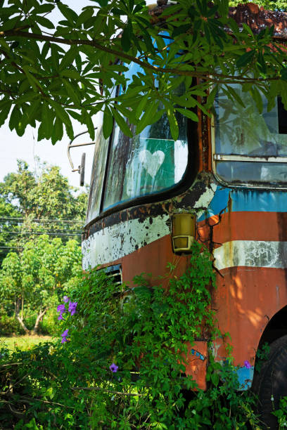 istock Bus Wreck In The Nature 1083689632