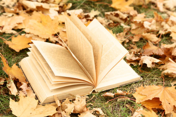 istock Opened book with dry autumn leafs 1083692462