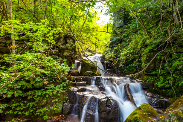 istock autumn view of Japan 1083693932