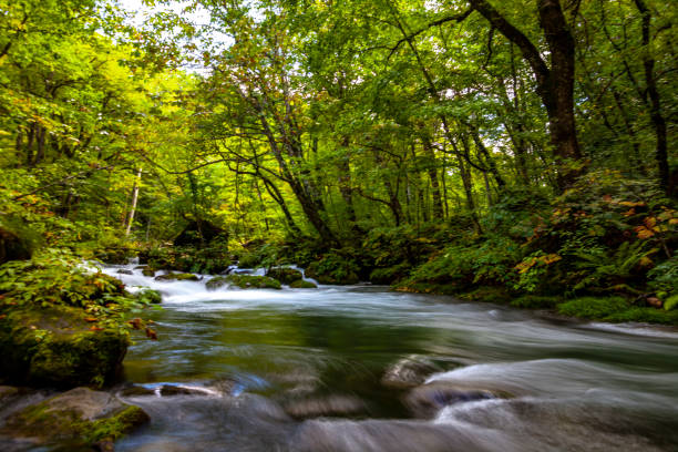 istock autumn view of Japan 1083694508