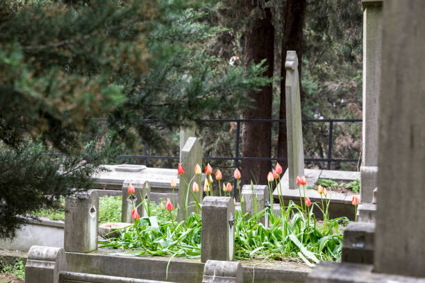 The Trafalgar Cemetery, located just outside the old city walls of Gibraltar and at the foot of the Rock of Gibraltar