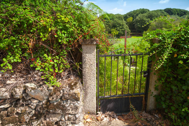 istock Old rusted garden gate with iron cross 1083711252